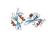 1is0: Crystal Structure of a Complex of the Src SH2 Domain with Conformationally Constrained Peptide Inhibitor